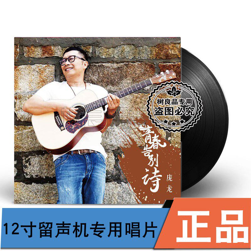 庞龙青春告别诗精选作品LP黑胶唱片 留声机专用唱盘12寸碟片33转