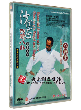 正版 武术教学 沙国正形意八卦精要 八卦掌 1DVD碟片光盘 罗金华