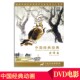 儿童动画片DVD碟片中国经典 动画特伟篇上海美术电影车载视频光盘