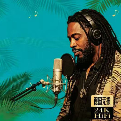 白兰的烟嗓金曲cd 雷鬼版流行歌曲摇太阳无损高品质汽车载碟片