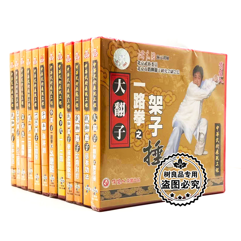 俏佳人正版中华武术展现工程 戳脚翻子系列13VCD碟片 讲解洪志田