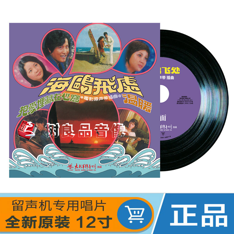 正版 台湾经典老歌精选 海鸥飞处lp黑胶唱片12寸碟 邓丽君/万沙浪
