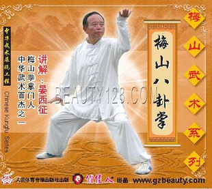 主讲 俏佳人武术正版 2VCD 梅山武术系列：梅山八卦掌 晏西征 教学