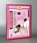 俏佳人正版 主讲武世俊 1DVD 武术 太极拳实用技击技巧化法与擒拿