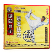 1VCD 戳脚翻子基本技法 讲解：洪志田 武术光盘碟片 俏佳人正版