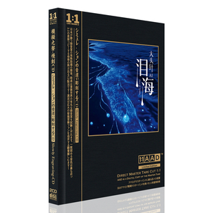 正版大头针流行歌曲 泪海 星语心愿 高品质无损音质车载cd碟