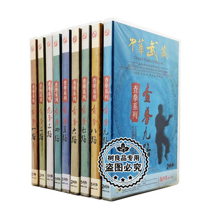 13DVD 俏佳人正版 中华武藏查拳系列 张文广 武术碟片光盘 张子英