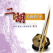 正版 宋飞中国二胡名曲指导自学视频教程演奏教学U盘