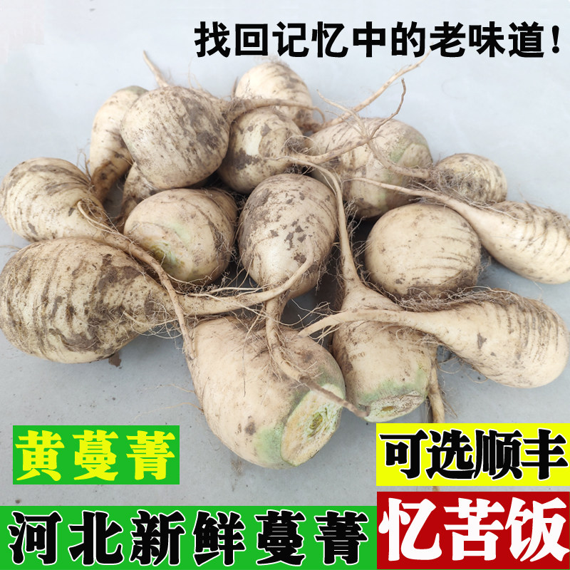 农家河北现挖新鲜黄蔓菁疙瘩菜芜菁蛮茎甜面大头菜蔓菁小米粥搭档,水产肉类/新鲜蔬果/熟食,其它,淘宝优惠券,粉丝福利购,淘宝优惠卷