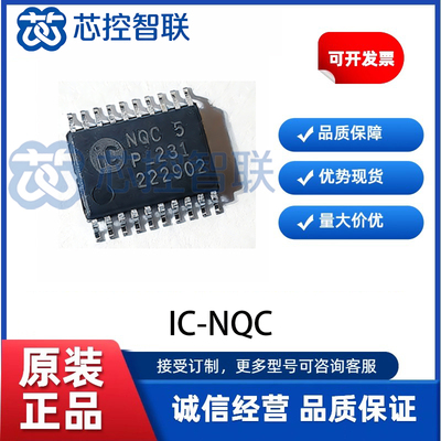 IC-NQC 封装TSSOP20 全新IC-Haus光学磁性传感器信号数字化可编程