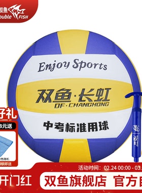 双鱼长虹VH512P排球5号排球比赛训练中考学生用球充气男女VH511P