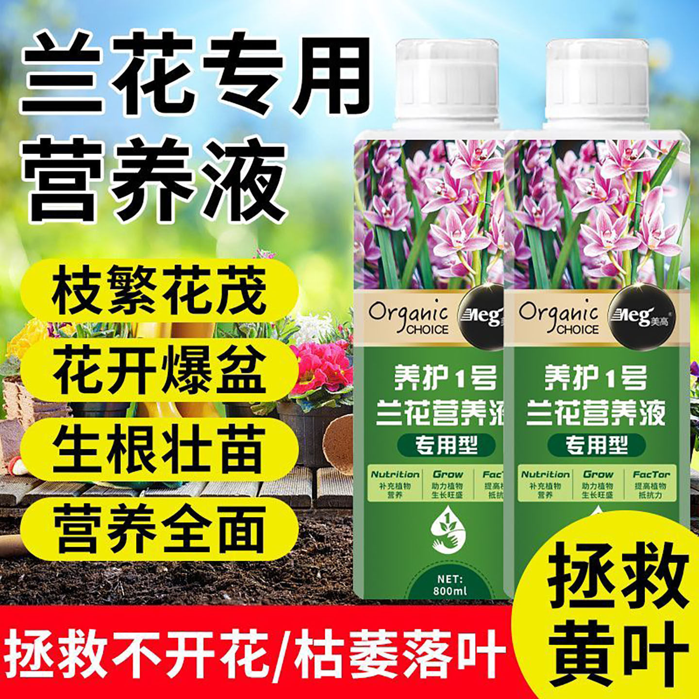 兰花专用肥营养液兰科肥料君子兰无机肥