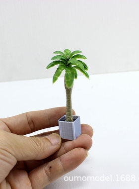 dollhouse 仿真微缩迷你 植物 盆栽 竹子 盆景 椰子树 食玩模型