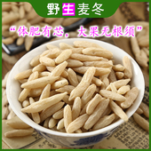 精选中药材麦冬500克特级无硫野生可搭陈皮沙参玉竹黄芪茶 包邮