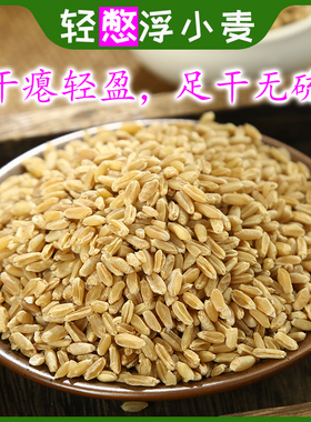 精选中药材浮小麦500g泡水 浮麦 止汗盗汗茶小麦瘪子麦米茶