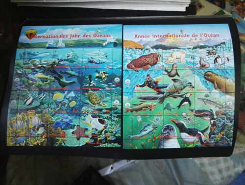 联合国1998年国际海洋