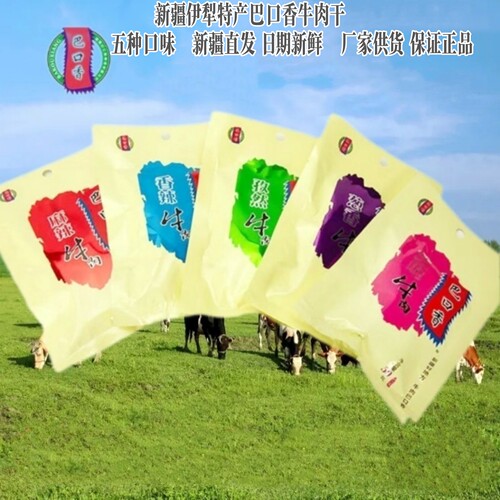 新疆巴口香10袋特牛肉干熟食