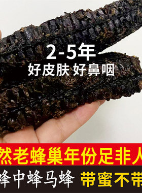 天然深山足年份老蜂巢带蜜不带蜜