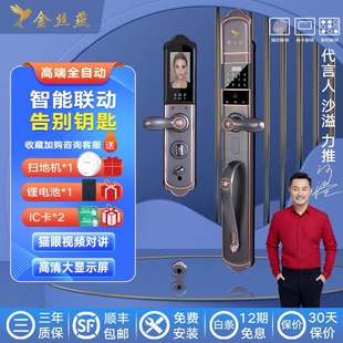金丝燕 指纹锁密码锁智能锁带监控防盗门双门可视猫眼电子锁别墅
