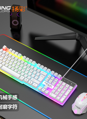 炫彩发光键盘鼠标套装 机械手感装机 办公商务游戏 有线套件发光