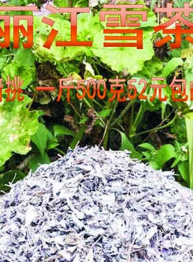 丽江雪茶 雪山古茶 玉龙藤茶 苍山雪 马帮雪茶 茶马古道茶 木府茶