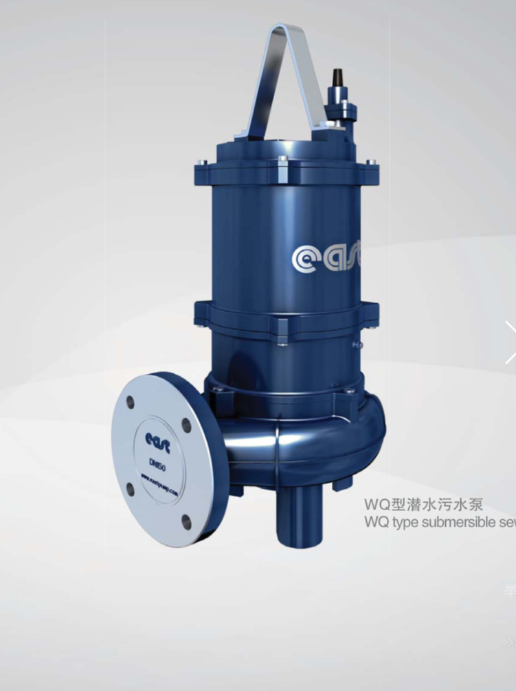 5工业污泥污水泵 东方水泵
