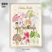 北欧INS风植物画 饰画现代玄关卧室挂画简约沙发背景墙壁画 客厅装