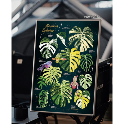 妮斯特·星云龟背集|原创植物画