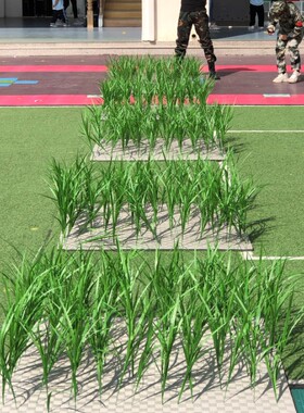 禾下乘凉梦 舞蹈道具禾苗绿色植物仿真稻草 假麦苗稻草手拿稻谷