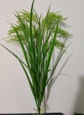 稻谷稻草稻田假麦穗麦草