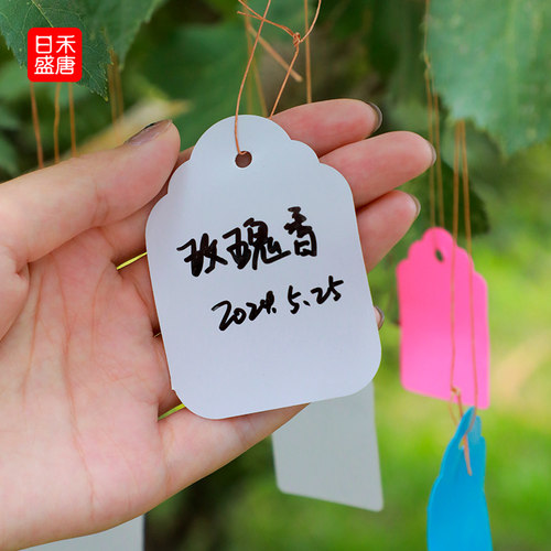 植物标签100张PVC彩色塑料植物吊