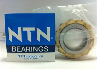 日本NTN进口轴承NJ305 NU306EM RN307M N308 309 310 311M 312WC3
