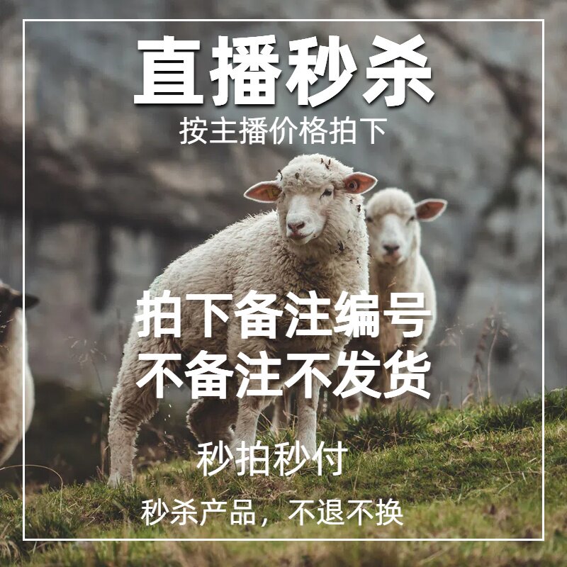 【直播链接】NO退NO换T恤