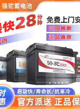 骆驼电瓶DF天鹅汽车蓄电池60AH奇瑞风云2艾瑞泽5瑞虎3迈腾L2-400
