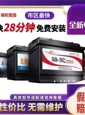 骆驼电瓶DF天鹅汽车蓄电池45AH起亚K2福瑞迪现代瑞纳