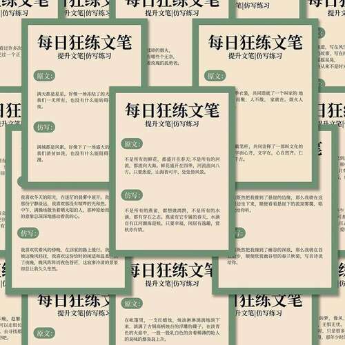 每日狂练文笔贴纸学习学生文字