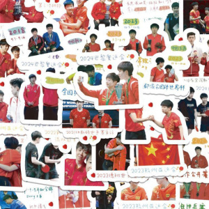 莎头组合贴纸夺冠楚钦孙颖手帐