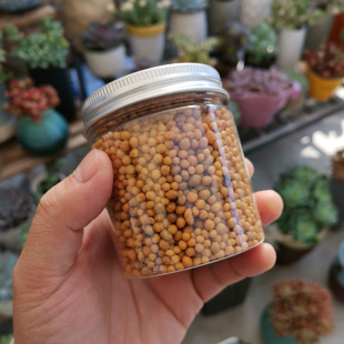 长效型家庭多肉植物绿萝发财树阳台肥料 园艺通用缓释肥 礼品卉