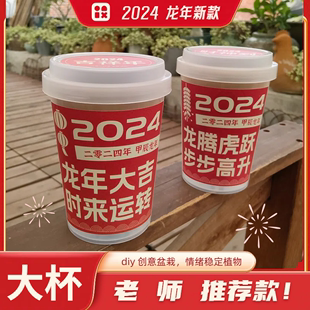 2024龙行大运龙年大吉新年公司员工年会奖品礼品diy创意盲盒种植