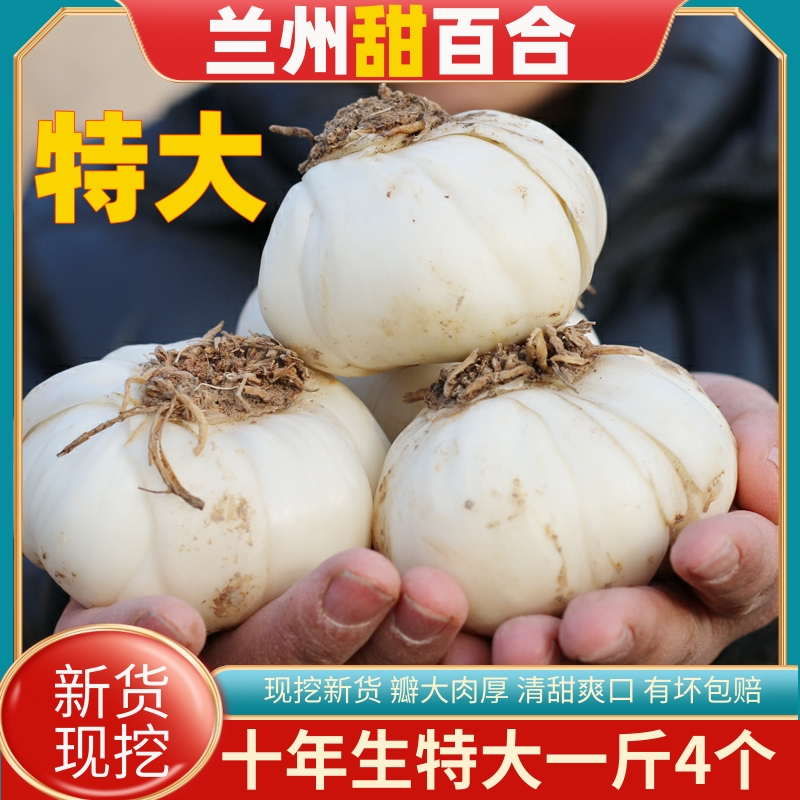 兰州甜百合新鲜食用两头现挖甘肃土特产级西果园十年大果现挖新货 水产肉类/新鲜蔬果/熟食 新鲜百合 原图主图