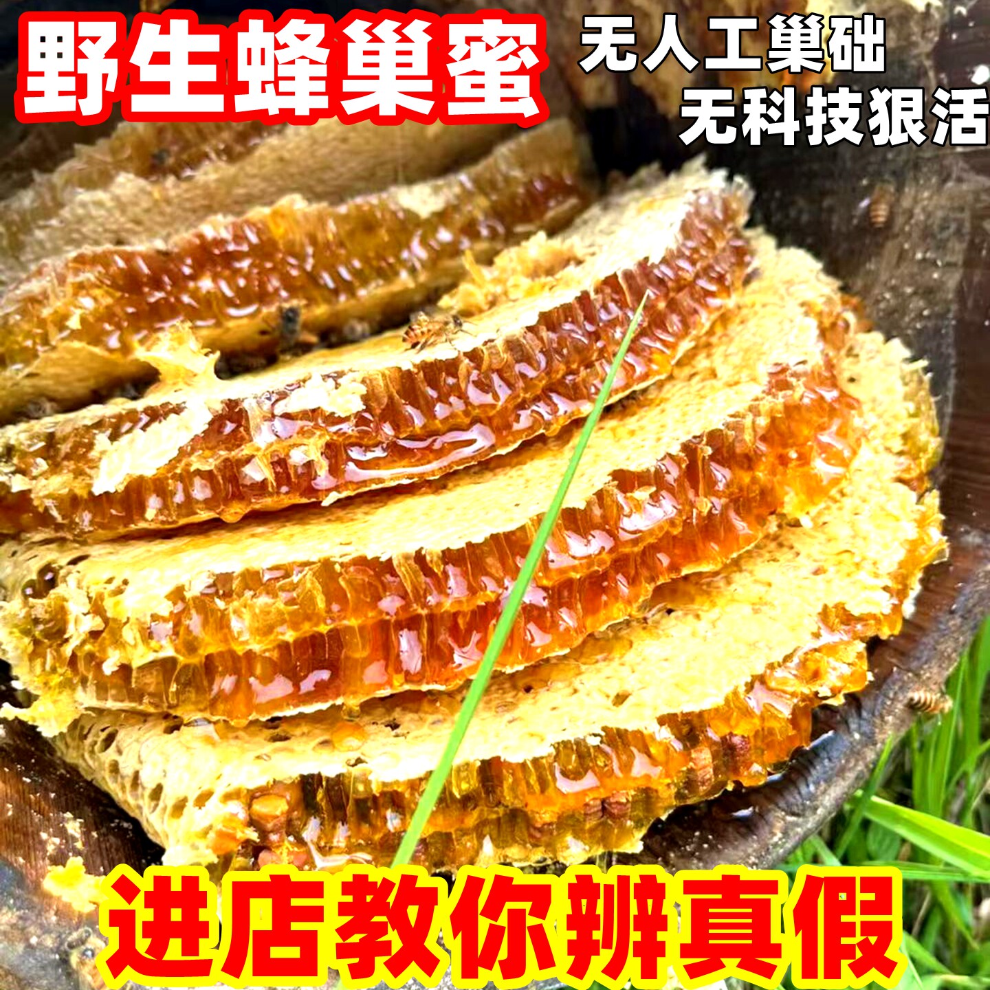 天然野生蜂巢蜜嚼着吃土蜂蜜老蜂巢蜜蜂窝丰巢蜜蜂巢树洞野蜂巢蜜