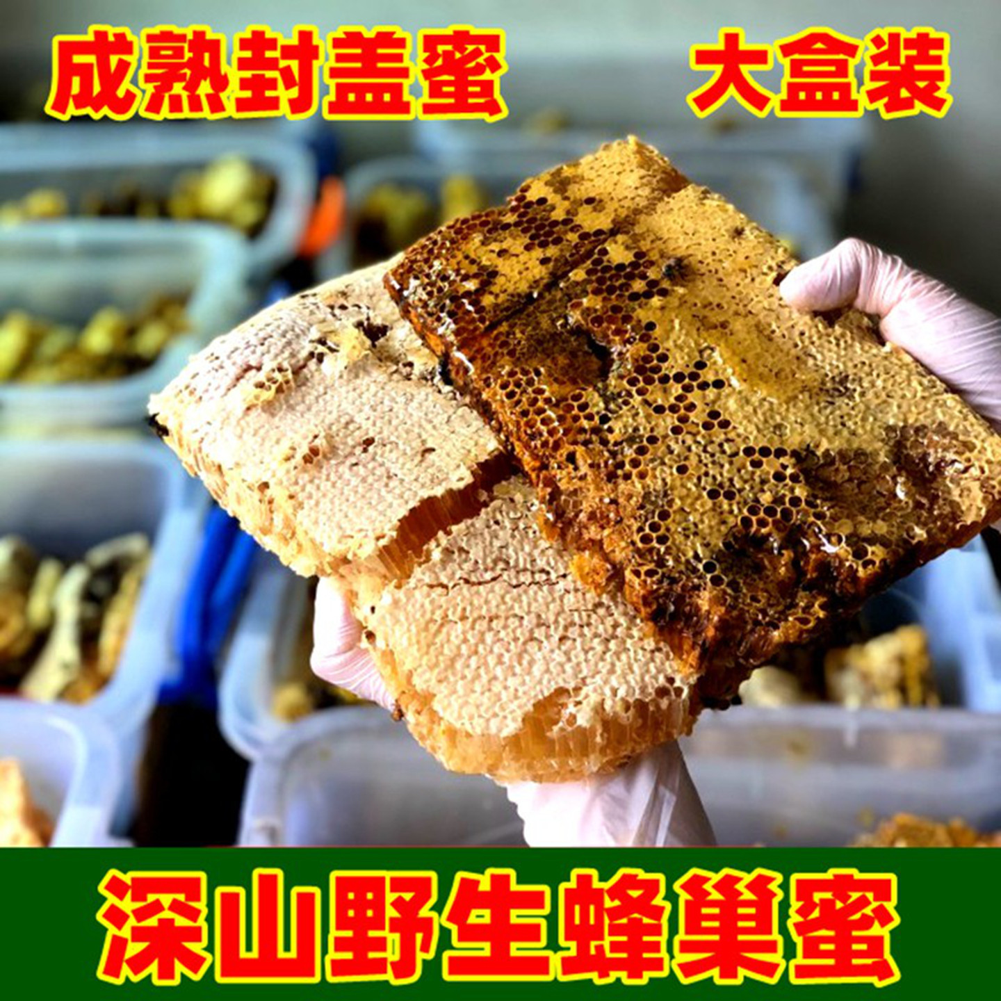 天然野生蜂巢蜜嚼着吃土蜂蜜老蜂巢蜜蜂窝丰巢蜜蜂巢树洞野蜂巢蜜