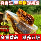 土蜂巢蜜纯正天然野生花粉蜂巢蜜嚼着吃蜂蜜老蜂巢蜜蜂窝蜂粮