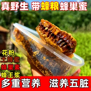 土蜂巢蜜纯正天然野生花粉蜂巢蜜嚼着吃蜂蜜老蜂巢蜜蜂窝蜂粮
