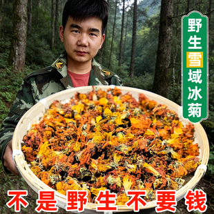 雪域冰菊天山雪菊帕米尔高山昆仑西域冰菊甄选好茶花香养生茶冲泡