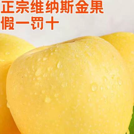 正宗维纳斯黄金苹果栖霞果园少量发货十斤装直销包邮