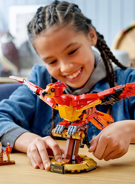 哈利波特邓布利多的凤凰76394儿童益智拼装中国积木玩具礼物模型