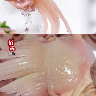 火箭鱿鱼重庆火锅食材配菜小串新鲜水发鱿鱼鲜活冷冻海鲜烧烤鱿鱼