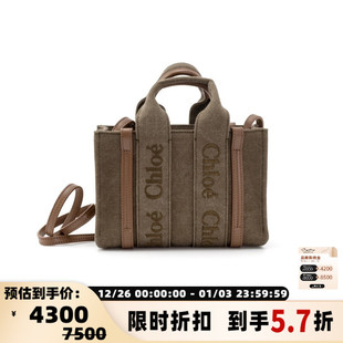 手提包单肩包斜挎包银泰百货精品 款 301574 女士经典 CHLOE