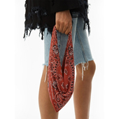 Alexander 301596 女士腰果围巾手提包银泰百货精品 Wang 春夏款